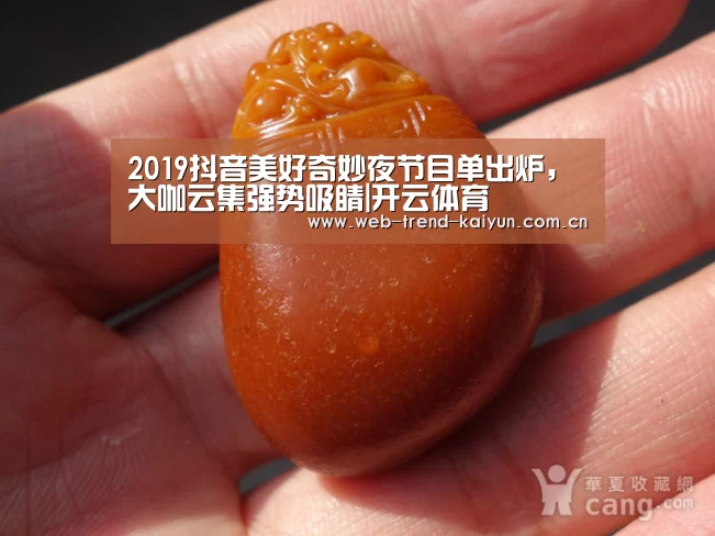 2019抖音美好奇妙夜节目单出炉,大咖云集强势吸睛|开云体育(图2) 开云体育