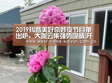 2019抖音美好奇妙夜节目单出炉,大咖云集强势吸睛|开云体育(图1) 开云体育