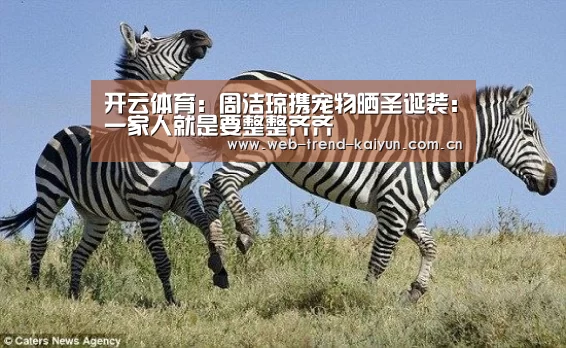 开云体育:周洁琼携宠物晒圣诞装:一家人就是要整整齐齐(图3) 开云体育