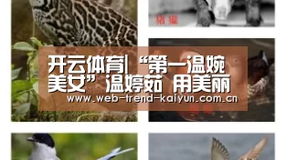 开云体育