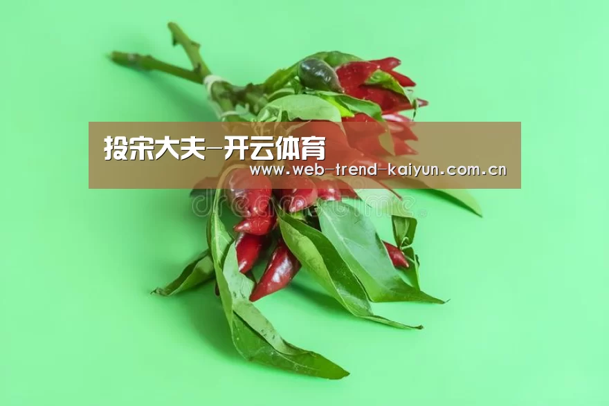 投宋大夫-开云体育(图4) 开云体育
