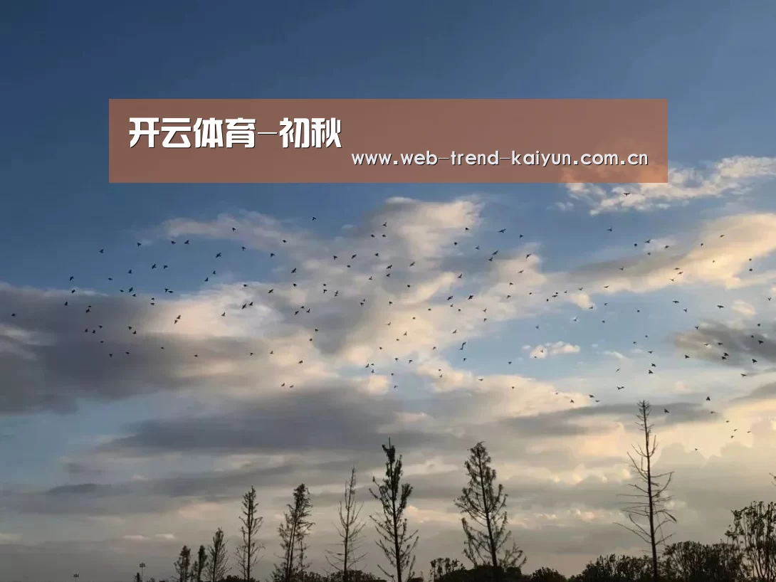 开云体育-初秋(图1) 开云体育