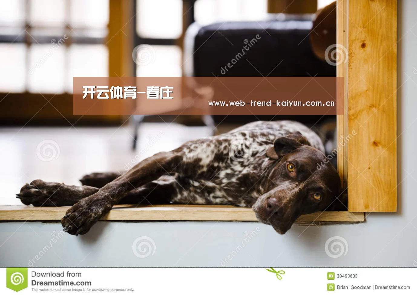 开云体育-春庄(图2) 开云体育